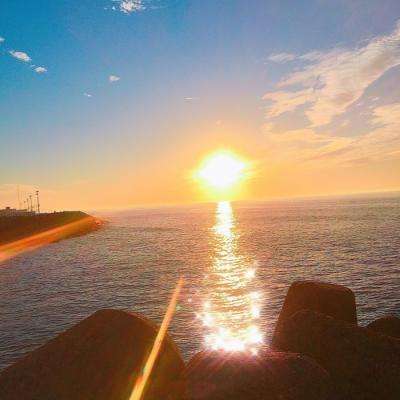 开云·体育平台app下载