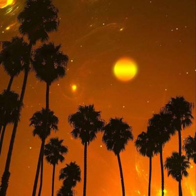 乐鱼游戏app在线登录下载手机版