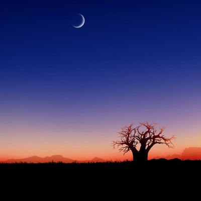 皇冠体育app正版下载