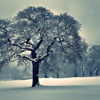 华体会登录手机版app下载