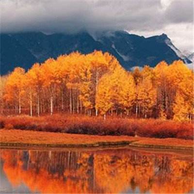 捕鱼达人2 1.3.6安卓版下载