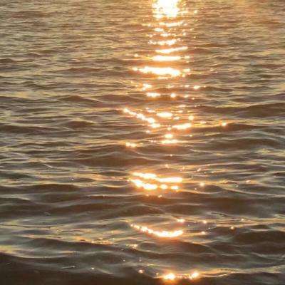 乐动体育网站官网版官方入口